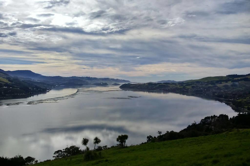 Restview Panzió Dunedin Kültér fotó